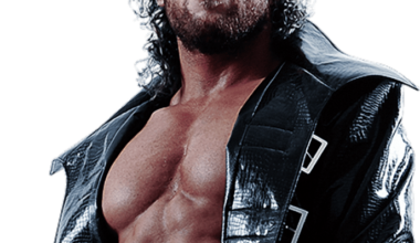 my opinion best omega. when he was Iwgp Jr heavyweight champion. this is the best look in the business