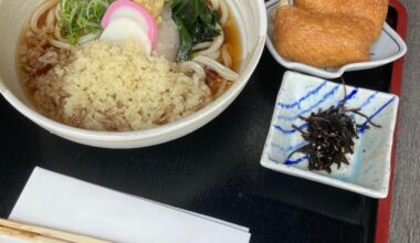 Cold Udon noodles with Tempura, Inari sushi and Wakame at an Isakaya in Frankfurt, Germany