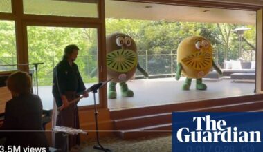 Jacinda Ardern greeted by giant sad dancing kiwifruit during visit to Japan