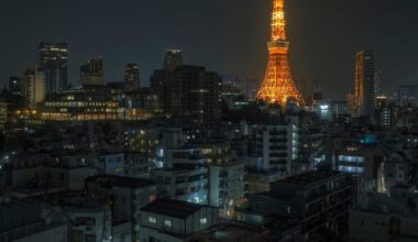 Walking Under Tokyo Tower [OC] [#3889]