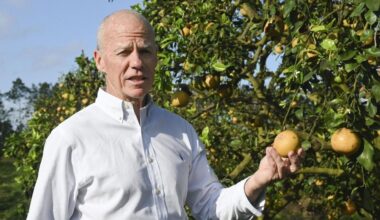 Florida farmers battle blight to keep their fruit on Japan's tables