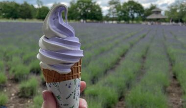 Lavender and Hokkaido milk swirl soft cream in front of Farm Tomita’s lavender fields in Furano