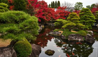 Koko-en Garden 好古園, Himeji (11.2018)