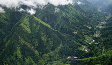 Girl who disappeared in Yamanashi confirmed dead after bone DNA test