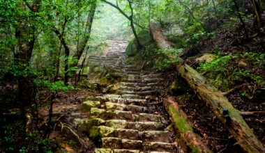 Path to Misen mount, Itsukushima Island