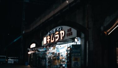 Tokyo In The Dark