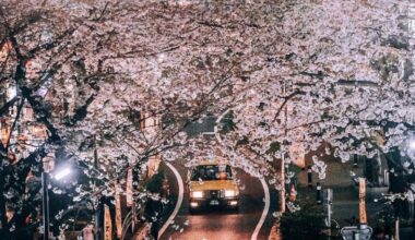 Itinerary Check - Spring 2021 - Tokyo | Fuji | Kyoto | Miyajima - Photography Centric Trip