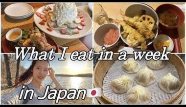 Hellooooo konnichiwa! I make videos about Japanse food / culture. I just found this server & thought I'd share a video I made about what I ate in a week! I'd really appreciate it if you could check it out. Thanks🫶