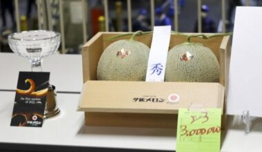 Pair of Hokkaido melons fetch 3 mil. yen at year's 1st auction