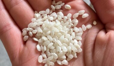 Japanese Rice Basics