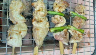 I made some Yakitori.