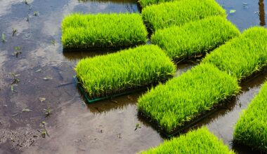 Season of planting rice in Gunma [OC]