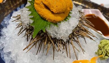 sea ​​urchin