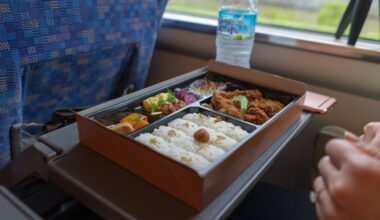 Shinkansen Bento Box