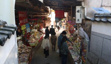 Stalls on the way up to Saijo Inari temple, Okayama. [OC]