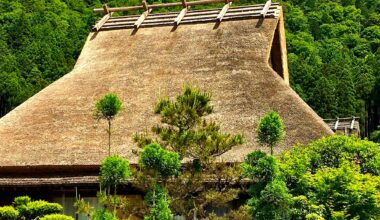 Traditional thatched roof at Kayabuki no Sato, Miyama, Kyoto Prefecture [OC]