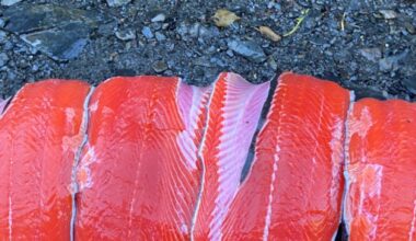I have 50lbs of sockeye salmon, need to learn to make sushi rice, anyone have any tips or tricks? I have a rice cooker