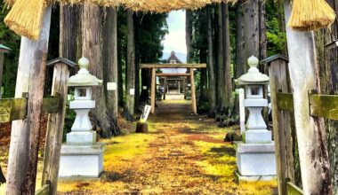 Torii gates leading through the trees to a small shrine in rural Iwate Prefecture [OC]