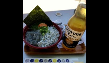 A bowl of rice topped with baby sardines eaten on a remote island in Aichi Prefecture