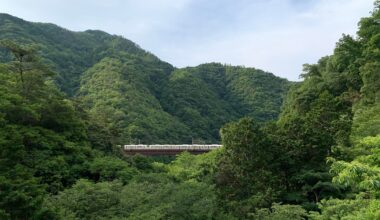 deep green Kyoto