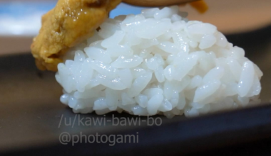 Uni (Sea Urchin Roe)