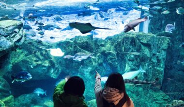 Wonders at the Shimonoseki aquarium