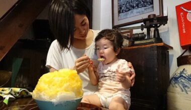 Majority in Japan prefer shaved ice over ice cream once temperature hits 34C: survey - The Mainichi