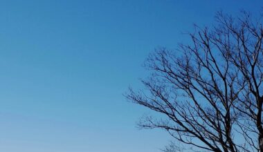 Mt. Fuji, shoot at the top of Mount Takao.