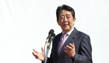 Court rules police removal of Abe hecklers from stump speech illegal