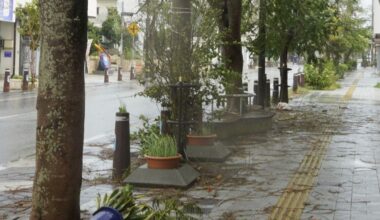 Typhoon Muifa brings rain, strong winds to Okinawa islands