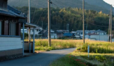 Spider lilies by the side of a road (Takasago, Hyogo)