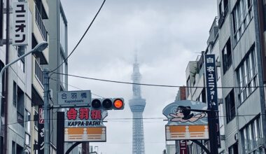 Tokyo Skytree from Matsugaya [oc]