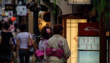 Pontocho, Kyoto, summer.