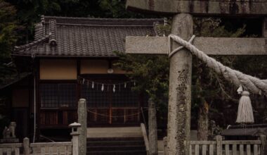 Torii Gates