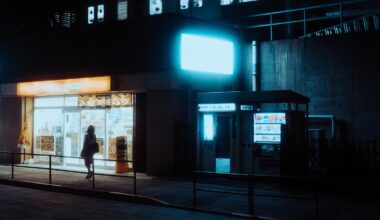 Walking from Shin Okubo to Shinjuku [OC]