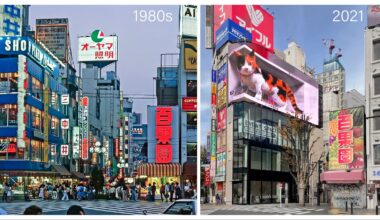 Shinjuku’s 3-D Cat : 1980s/2021