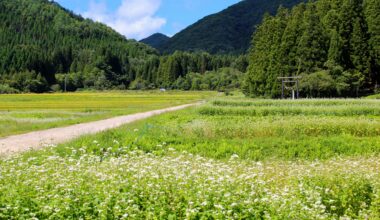 Exploring Ouchi-juku, three years ago today (Fukushima-ken)