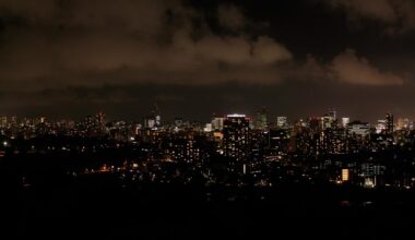 Went to Sendai for a couple days, here is the night skyline from the castle grounds.