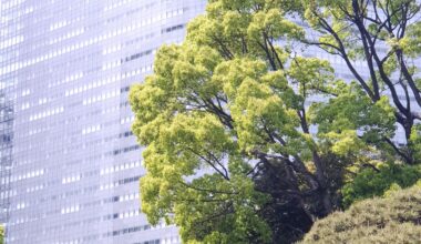 Hama-Rikyū gardens, Tokyo, 2019