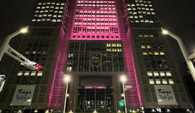 Tokyo Government Metropolitan Building at 9pm today.