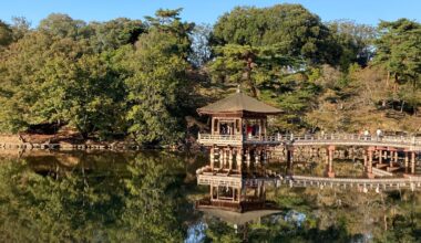 Pond in Nara Park