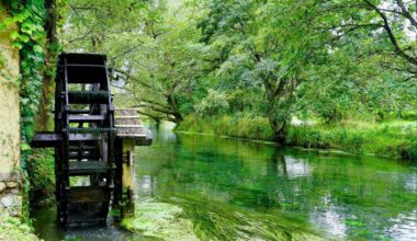 A river in Daio Wasabi Farm, Nagano