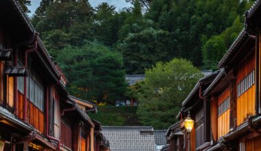 Higashi Chaya between morning downpours