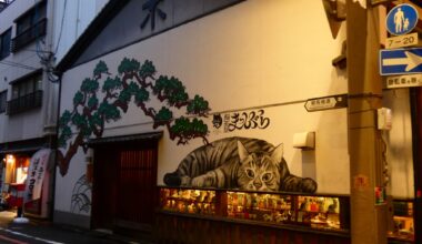 Near Nishiki Market, Kyoto