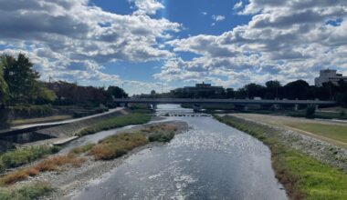 Sunny day @ Kamogawa | Kyoto