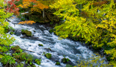 Autumn on the Akan River, Hokkaido.