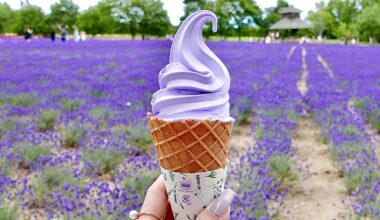 Hokkaido’s lavender farm’s lavender ice cream!