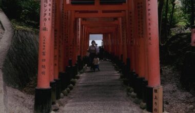 Fushimi Inari - On the first day of an open Japan!