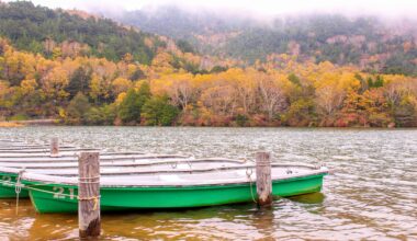 Fog over Yu-no-ko, a lake at Nikkō National Park with hot springs under the surface secreting the characteristic sulfur smell, four years ago today (Tochigi-ken)