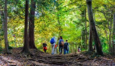 Places for casual/ short hiking around Tokyo area, around Oct/ Nov time frame.